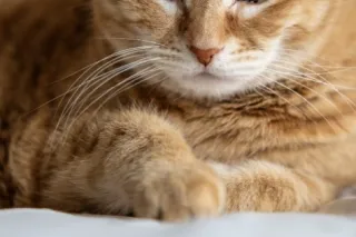 NO DEPOSIT 100%REAL !THE something new ask HEAD DR 😜BBJ👍call me👍😜😘👏🏽have - Image 2