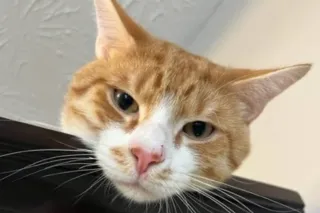 NO DEPOSIT 100%REAL !THE something new ask HEAD DR 😜BBJ👍call me👍😜😘👏🏽have - Image 3