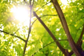 NO DEPOSIT 100%REAL !THE HEAD DR 😜BBJ👍call me👍😜😘👏🏽 - Image 10