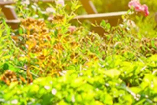 NO DEPOSIT 100%REAL !THE HEAD DR 😜BBJ👍call me👍😜😘👏🏽 - Image 6